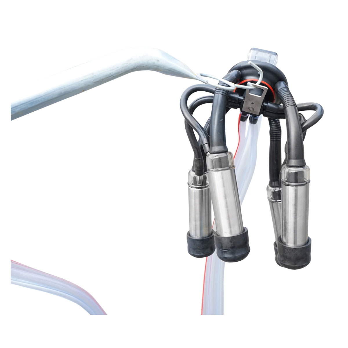 Tehénfejő gép 160 cc gyűjtőegységgel, horganyzott vázzal, 30 literes alumínium tartállyal, 1 állásos, Breckner Germany