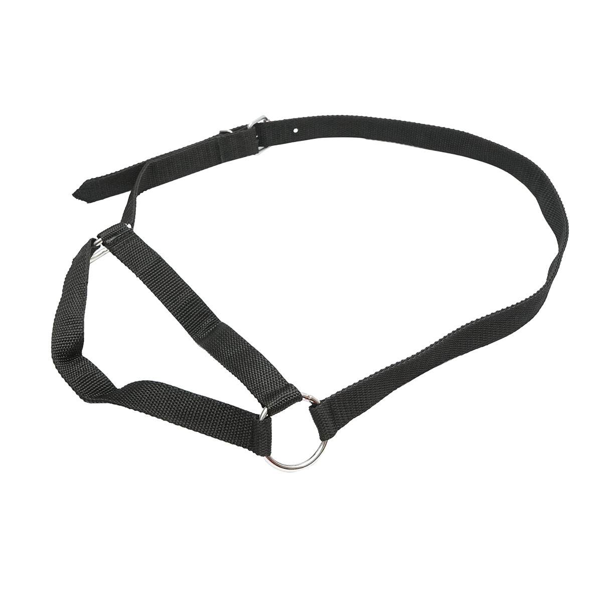 Tehén kötőfék lánccal, 25 mm-es nylon