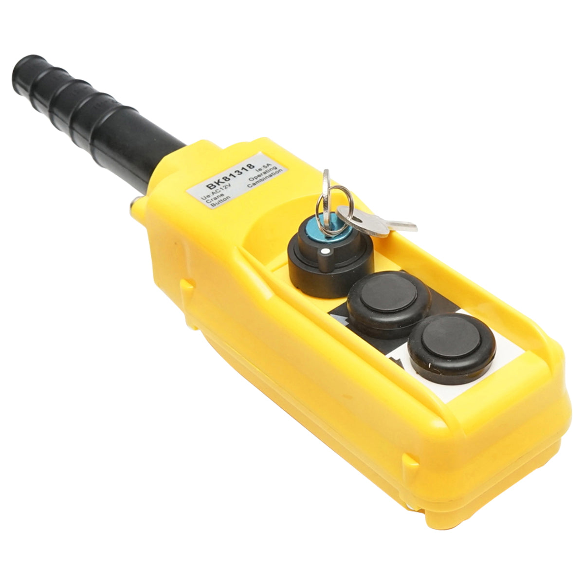 Ipari távirányító, 2 vezérléssel és főkapcsolóval kulcsos kivitelben, 12V, Breckner Germany