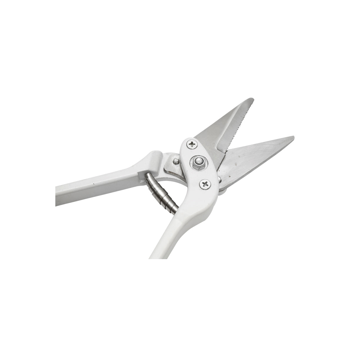 Körömvágó olló recézett pengével juhokhoz és kecskékhez, Breckner Germany