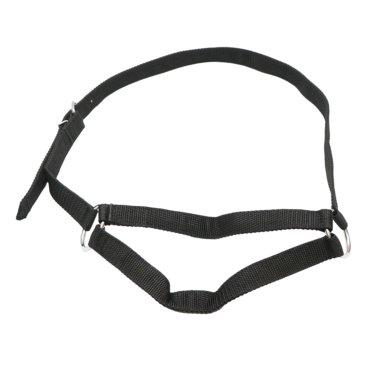 Tehén kötőfék lánccal, 25 mm-es nylon