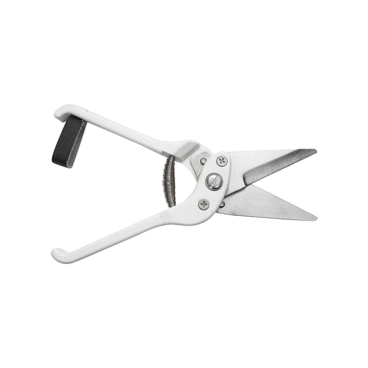 Körömvágó olló recézett pengével juhokhoz és kecskékhez, Breckner Germany