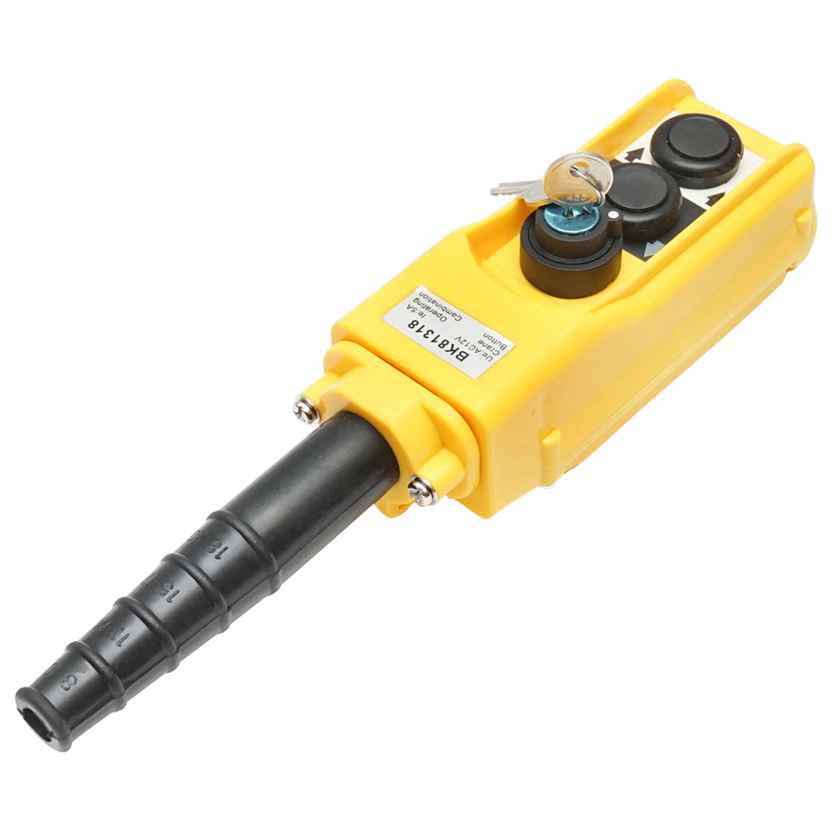 Ipari távirányító, 2 vezérléssel és főkapcsolóval kulcsos kivitelben, 12V, Breckner Germany