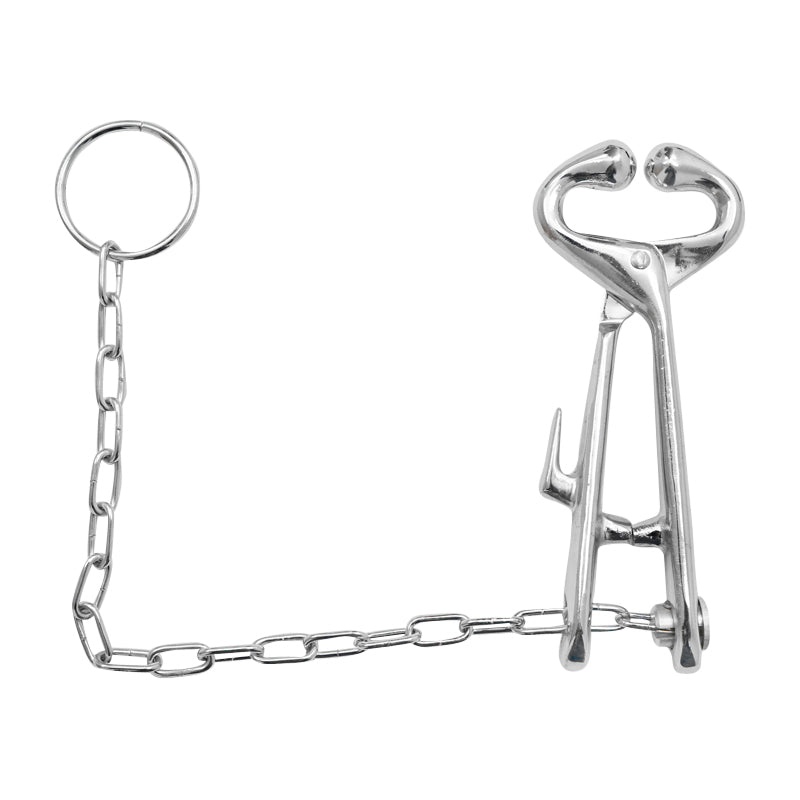 Orrfogó lánccal szarvasmarhák gyors és hatékony rögzítéséhez