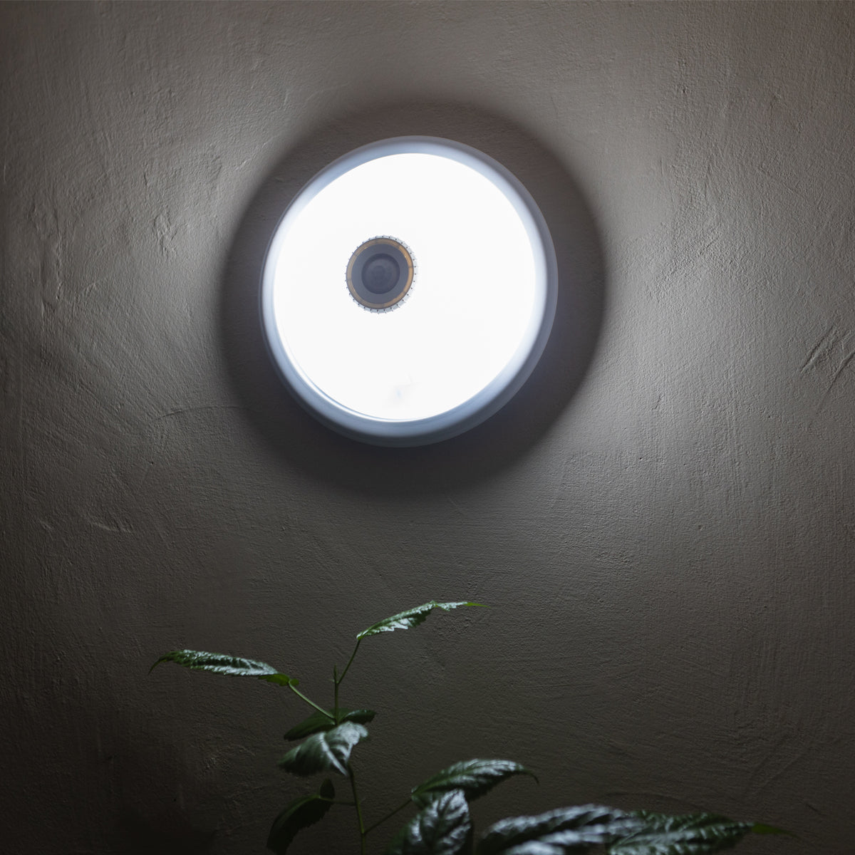 LED mennyezeti lámpa alkonyatérzékelő szenzorral, 220V, E27 2x40W, 360°, 300x105 mm, Breckner Germany