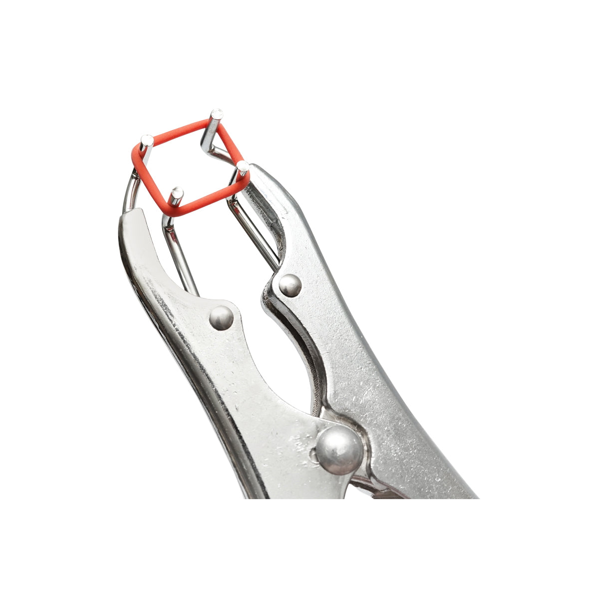 Kasztráló fogó gyűrűvel szarvasmarhákhoz, juhokhoz és sertésekhez, Breckner Germany