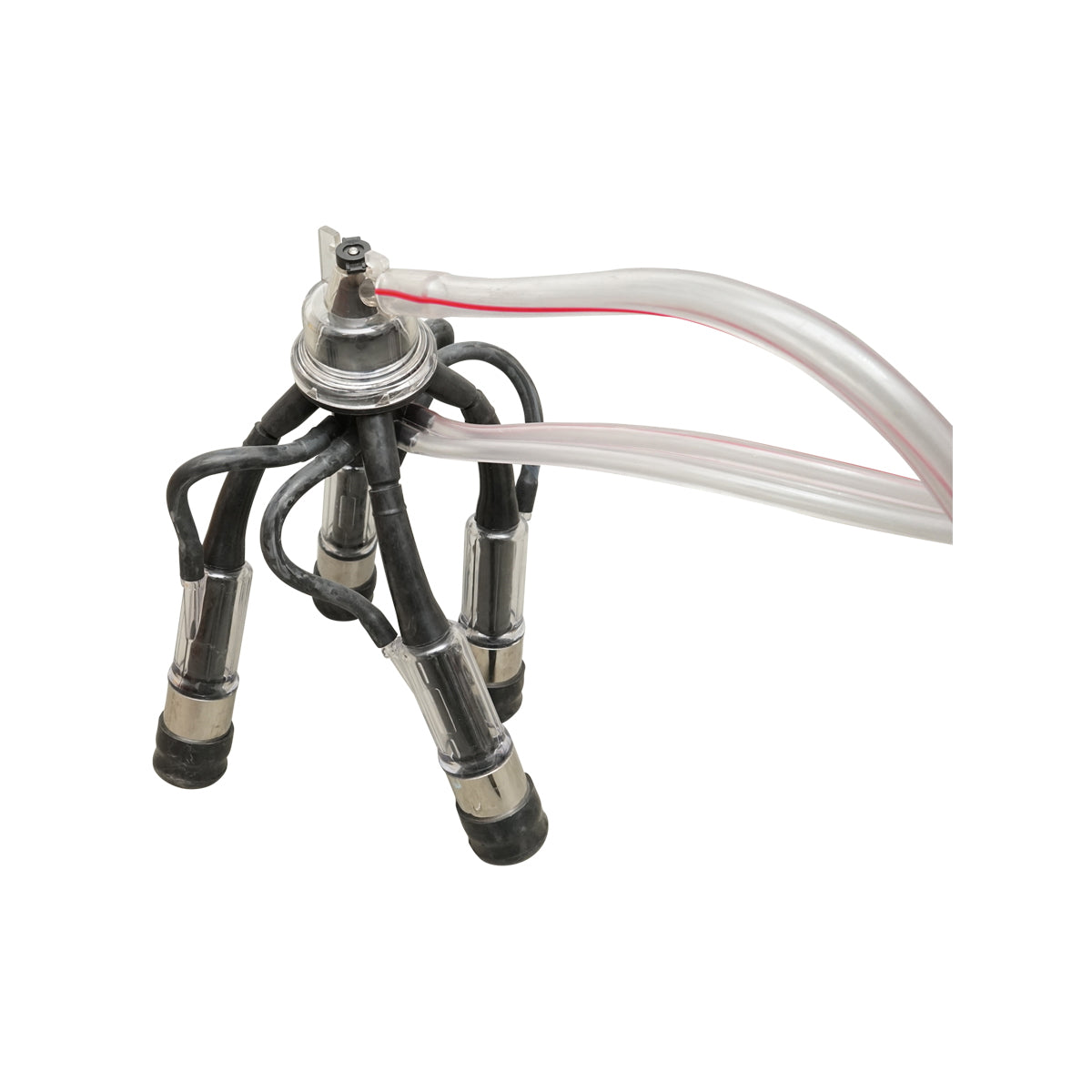 Tehénfejő gép 160 cc gyűjtőegységgel, horganyzott vázzal, 40 literes rozsdamentes acél tartállyal, 2 állásos, Breckner Germany