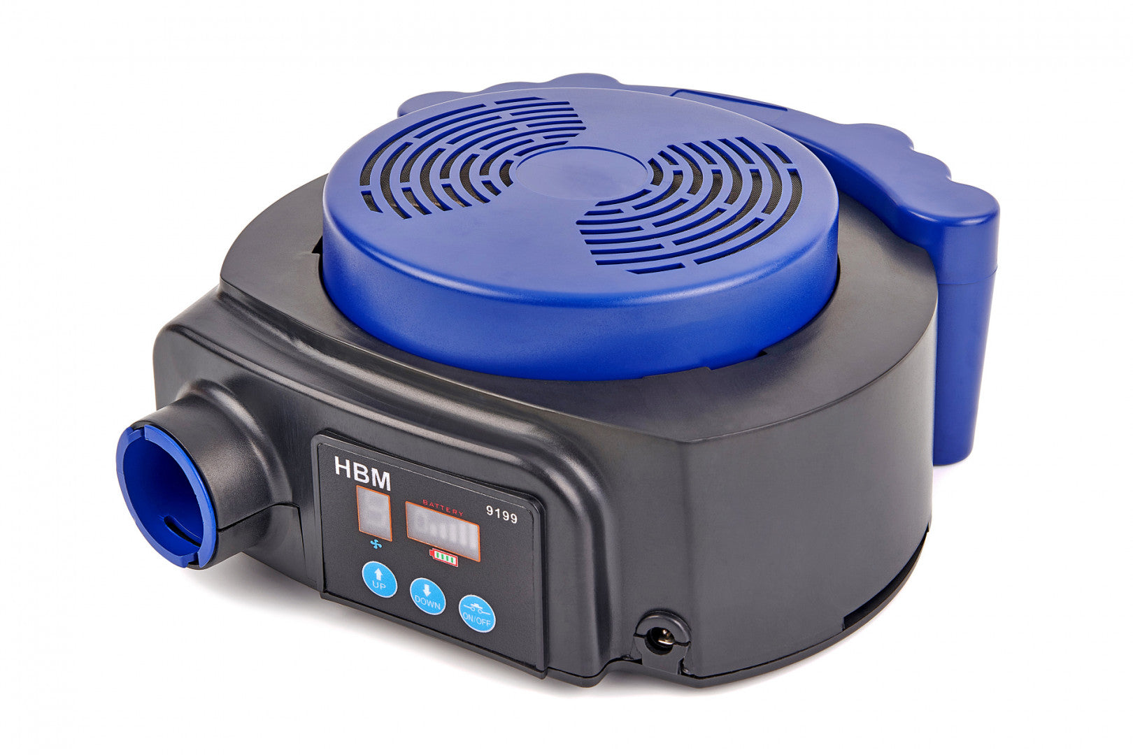 FRISSLEVEGŐS HEGESZTŐ FEJPAJZS