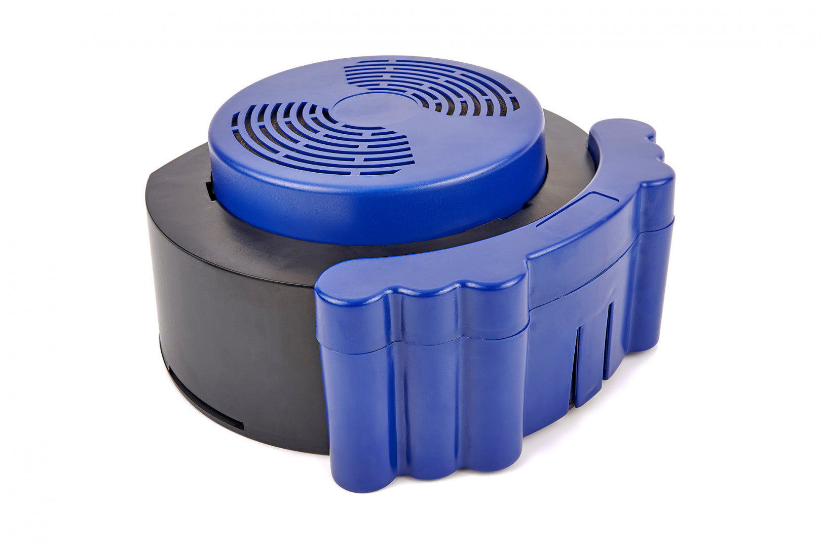 FRISSLEVEGŐS HEGESZTŐ FEJPAJZS