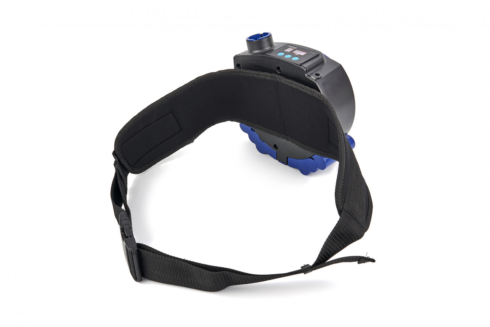 FRISSLEVEGŐS HEGESZTŐ FEJPAJZS