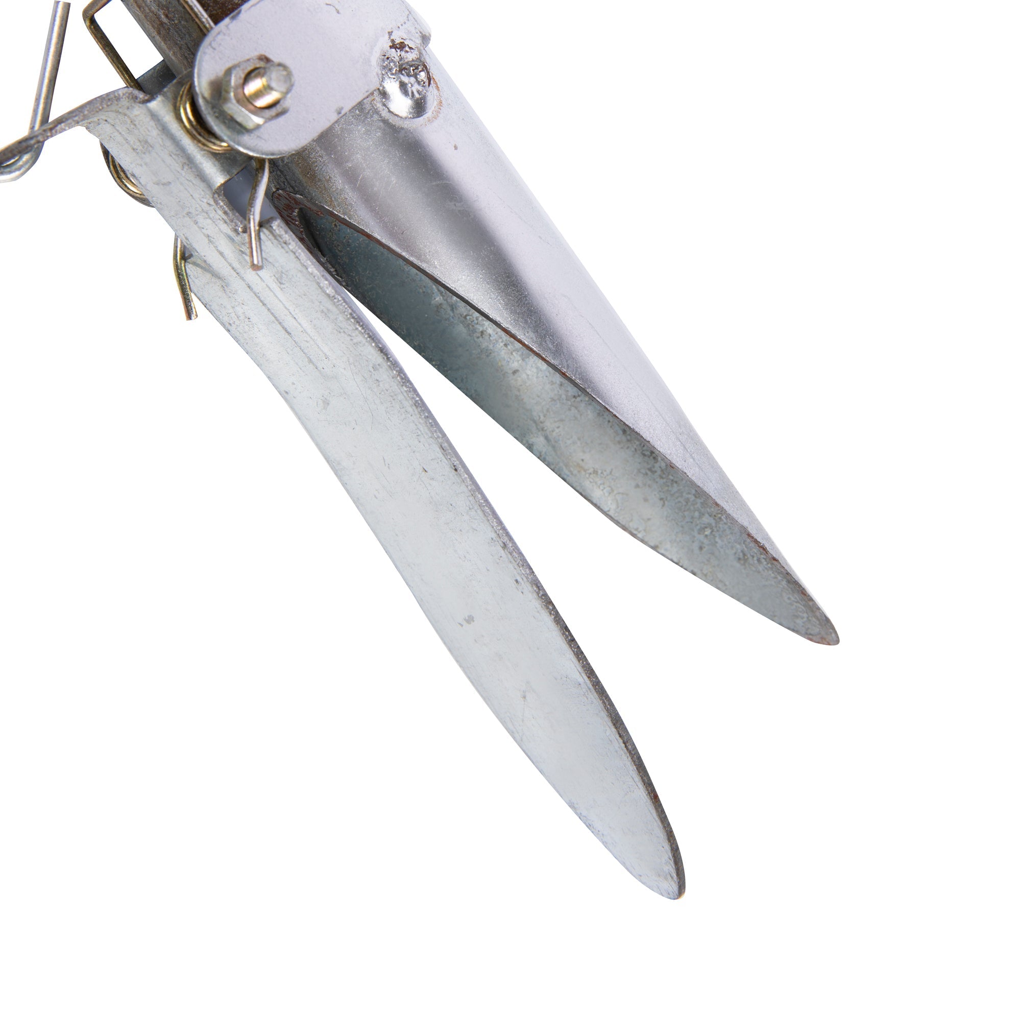 Növény és palántaültető