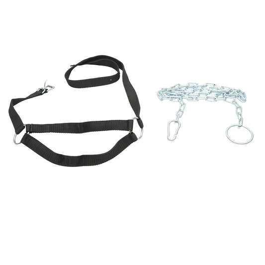 Tehén kötőfék lánccal, 25 mm-es nylon