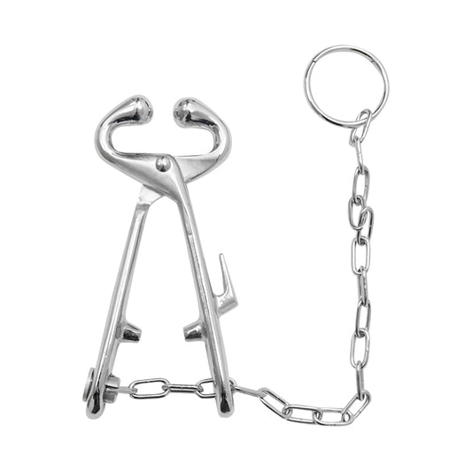 Orrfogó lánccal szarvasmarhák gyors és hatékony rögzítéséhez