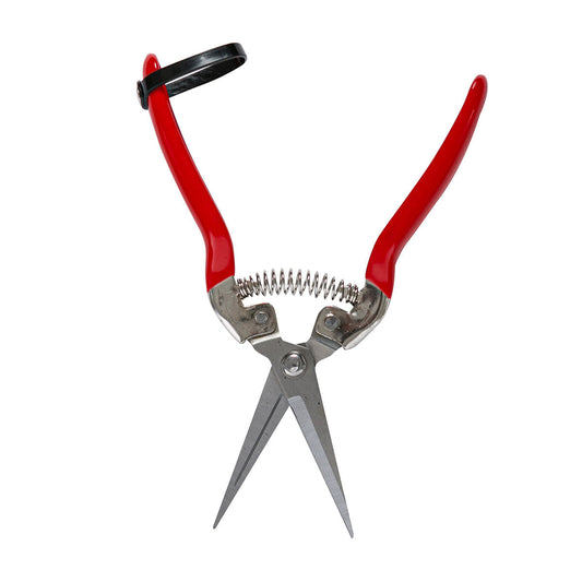 Olló zöldség és gyümölcs szedéséhez, 70mm egyenes pengével