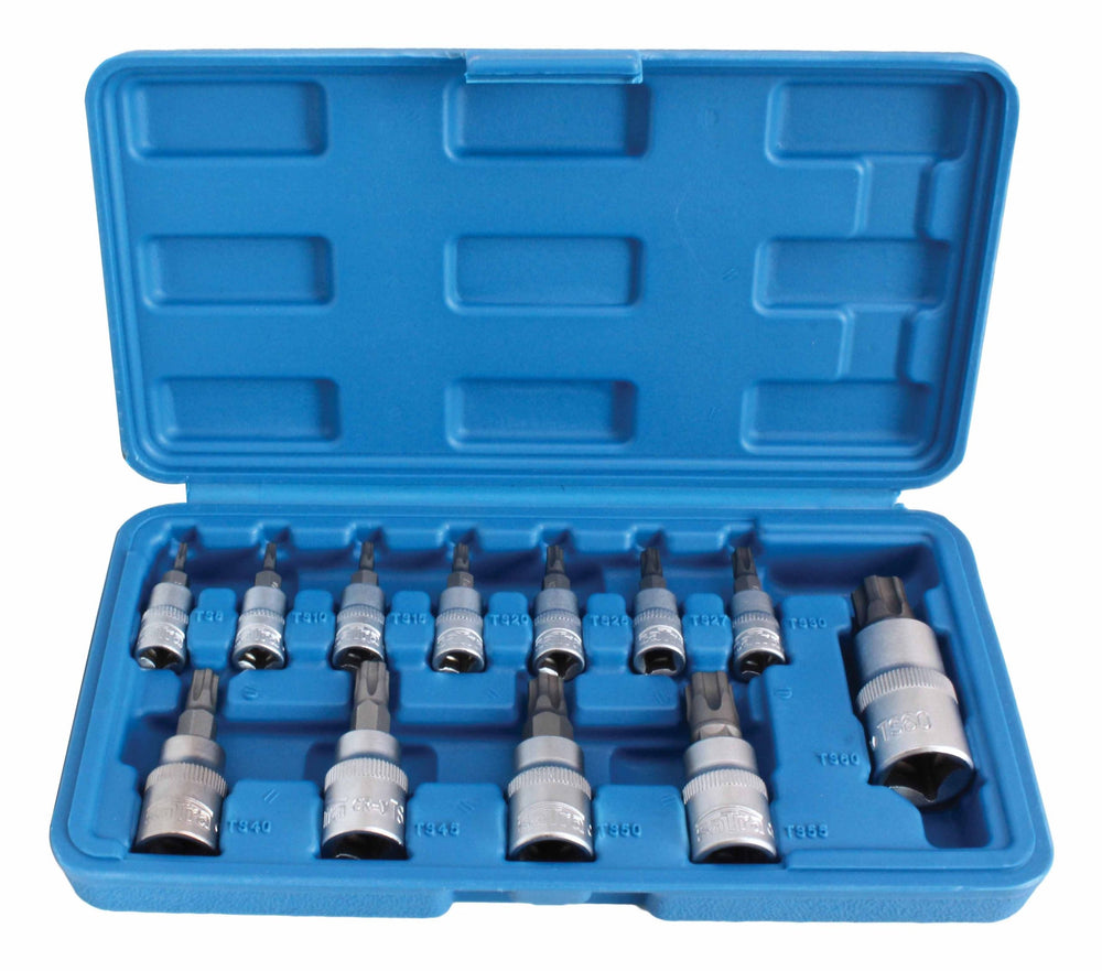 Bit TORX készlet lyukkal tx8-tx60 13 db